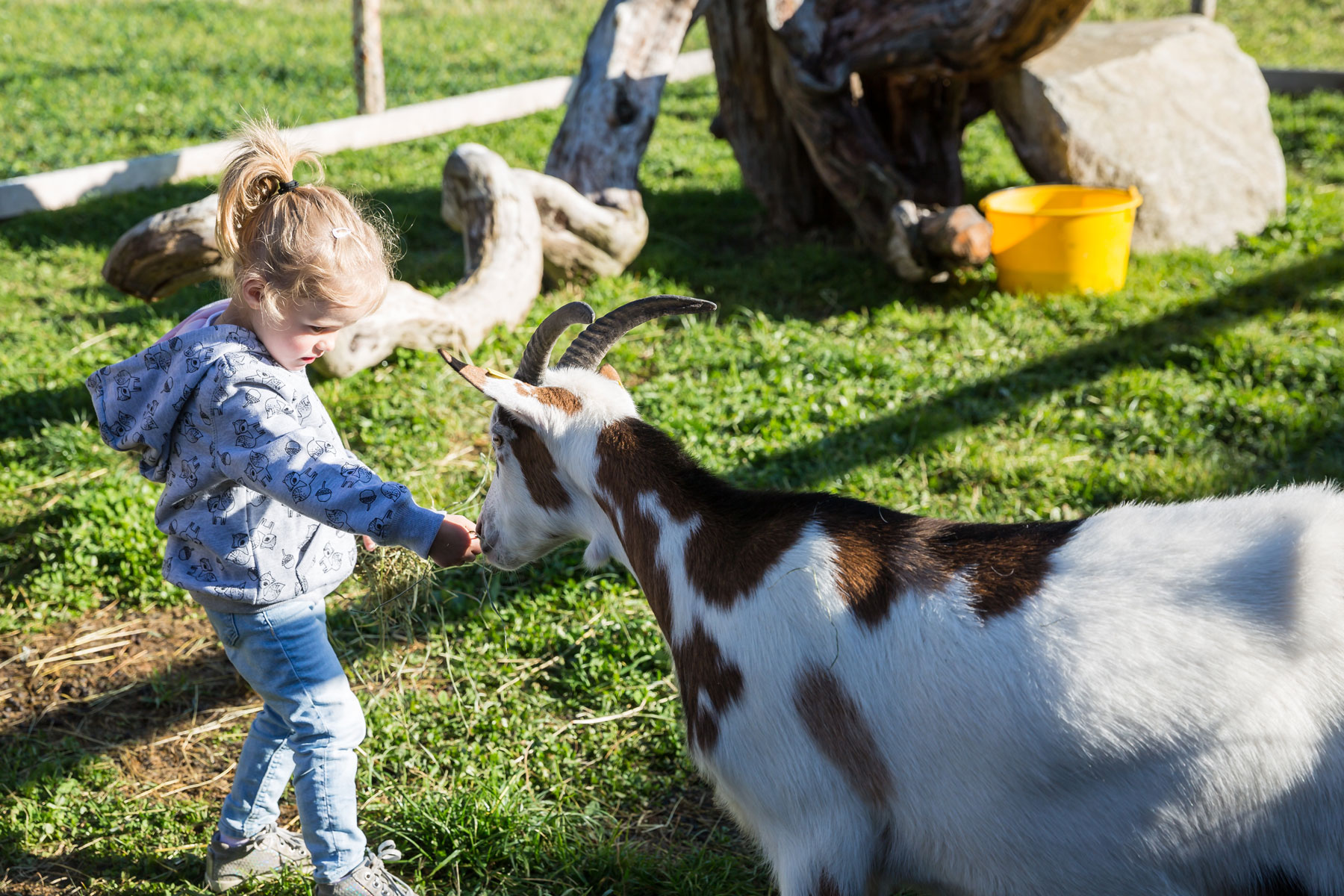 Mädchen mit Ziege