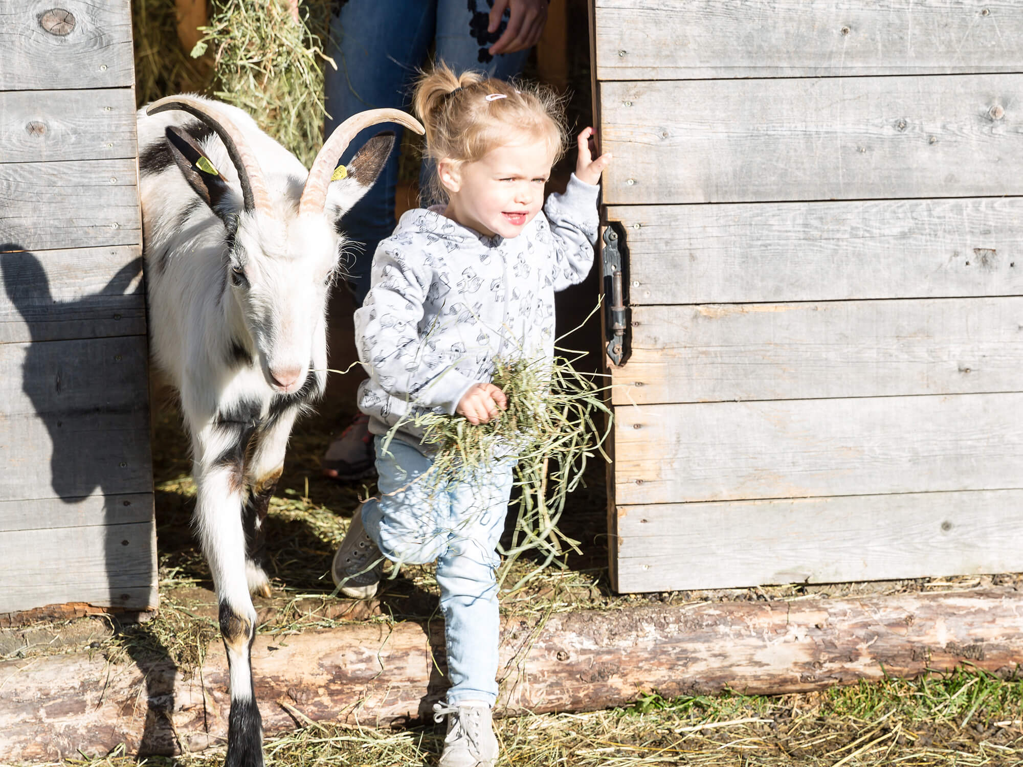 Tierischer Spaß für Kinder